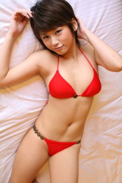 薰衣草电视剧全集